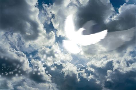 Who is the Holy Ghost?–His Identity and Roles, Pt. 2 | Meridian ...