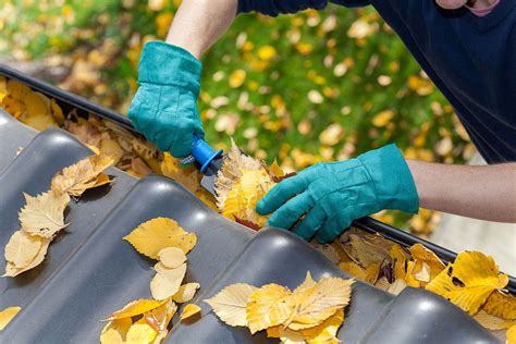 5 Tips For Handling A Clogged Gutter Storm Master Gutters