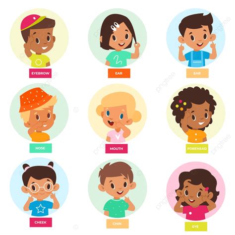 Face Parts Vector Hd PNG Images, Kid Pointing Face Part, Denote ...