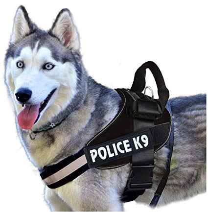 Dog K9 Police Harness XXL - Reem Pet Store