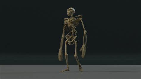 Free 3D model kong skeleton - TurboSquid 1192846