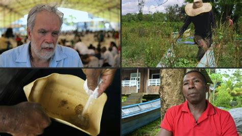 La Insospechada Crisis Del Negocio De La Coca Na En Colombia