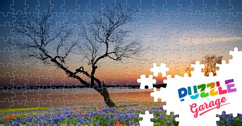 matahari terbenam  atas danau puzzle potongan alam danau puzzle