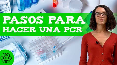 Cómo se hace una PCR Pasos para hacerla YouTube