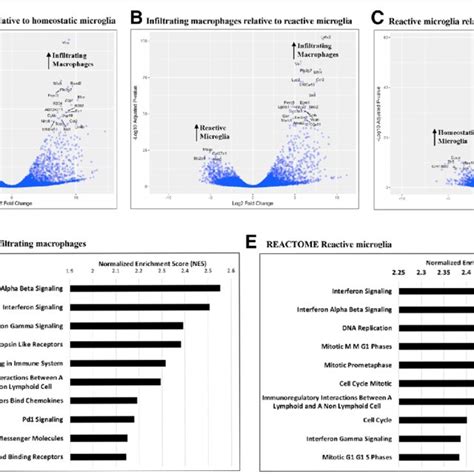 Microglia And Infiltrating Macrophages In The CNS Have Distinct Gene