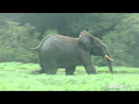 Semaine Africaine du Climat A la découverte du parc national de