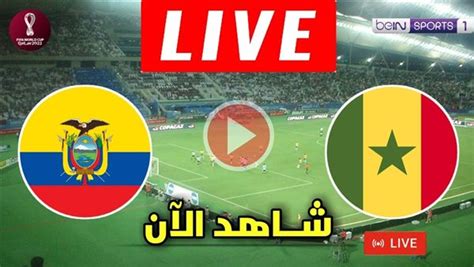 بث مباشر Now الآن مباراة السنغال والاكوادور في كأس العالم Live جودة