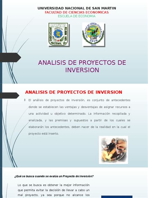 PDF Grupo 02 Analisis De Proyectos De Inv DOKUMEN TIPS