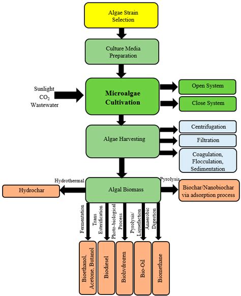 Energies Free Full Text Microalgal Carbon Dioxide Co Capture And