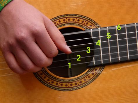 Cours De Guitare Folk Niveau 1 La Composition De La Guitare