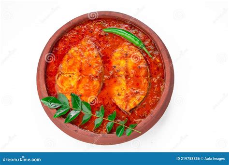 Seer or King Fish curry stock photo. Image of homemade - 219758836