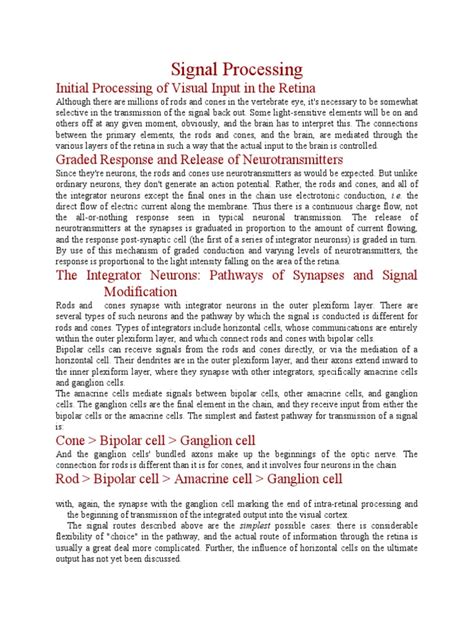 Signal Processing | PDF | Visual System | Retina