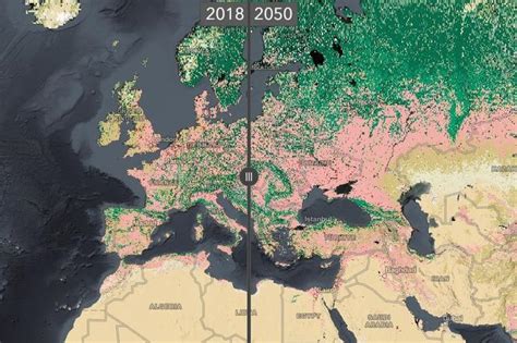 Tak będzie wyglądać Polska i Europa w 2050 roku Mapa zdradza co nas