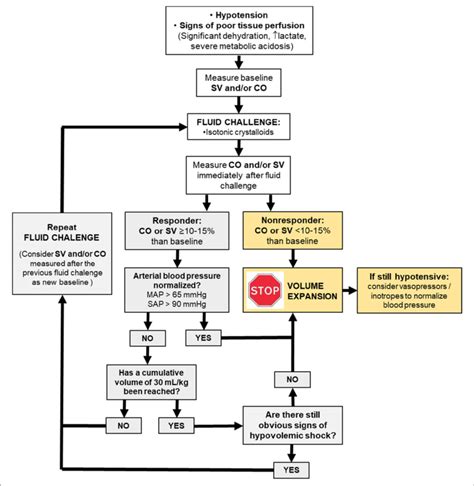 | Physiologically driven fluid resuscitation protocol incorporating the ...