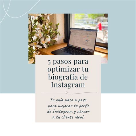 Pasos Para Optimizar Tu Biograf A De Instagram