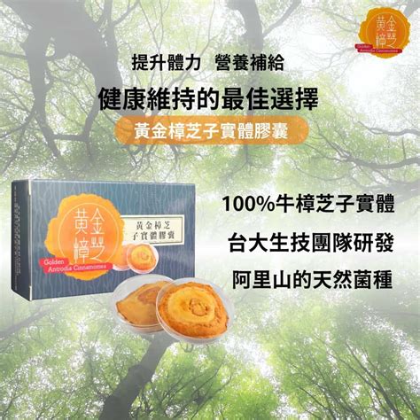 黃金樟芝子實體膠囊 100牛樟芝子實體專利培養 增強體力 最佳防護力