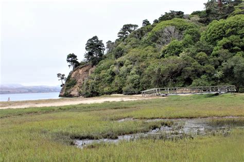 Tomales Bay State Park 20 Marin Hike