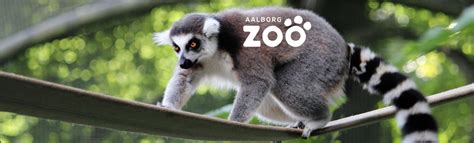 Vind 4 Billetter Til Aalborg Zoo Club Nord