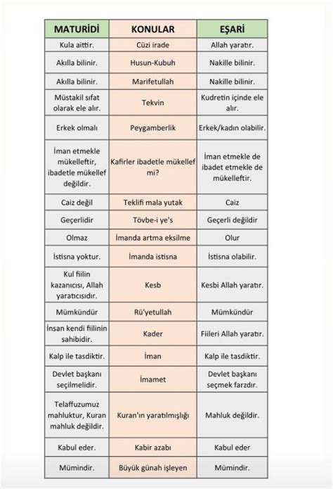 Zeynep Elmas Adl Kullan C N N Kpss Dkab Panosundaki Pin E Itim