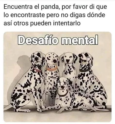 Pin De En Fun Ones Desafio Mental Imagenes Chistosas Para