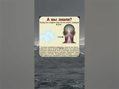 Для вашего здоровье - YouTube
