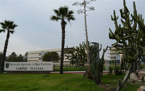 Clases Serán 100 Presenciales Uabc El Sol De Tijuana Noticias