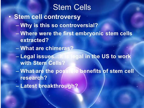 Embryonic Stem Cells Controversy