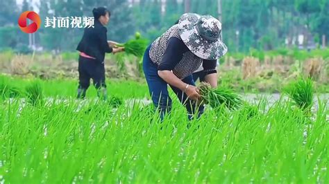 水润“天府粮仓”：都发中心一体化调度效益初显凤凰网视频凤凰网