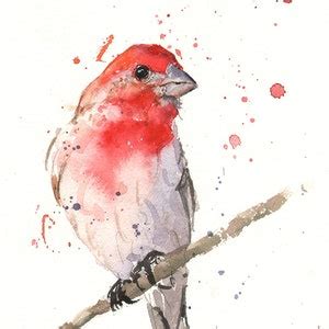 Original Watercolor House Finch Bird Art by Eric Sweet - Etsy