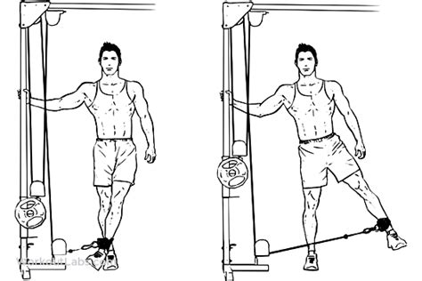 Cable Hip Abduction Adduction Workoutlabs