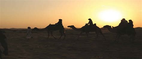 Overnight Desert Safari In Abu Dhabi Vootours Tourism