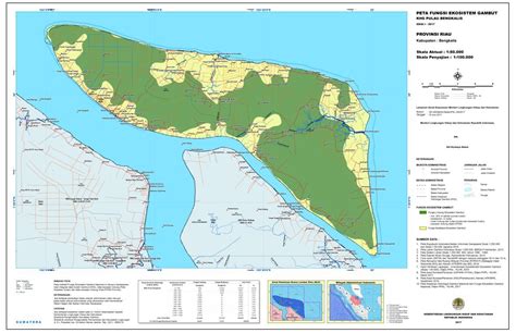 Penetapan Fungsi Ekosistem Gambut Direktorat Pengendalian Kerusakan