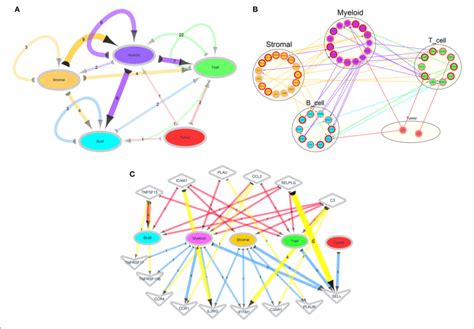 Ligand Receptor Signaling Networks A A Cell Type Based Ligand Download Scientific Diagram