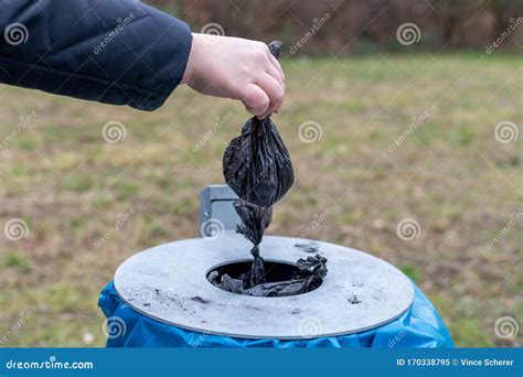 how to dispose of dog waste