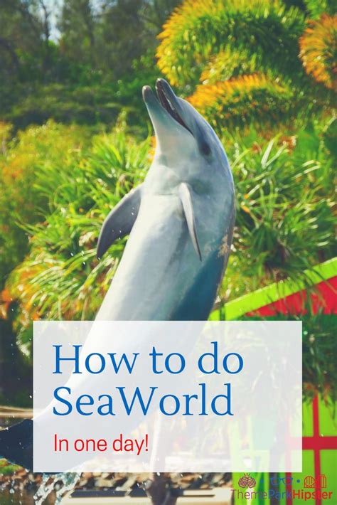 2023 Seaworld Orlando Ultimate Guide Tickets Rides Tips And More Sea World Seaworld