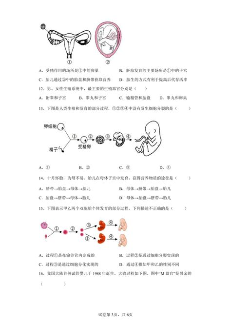 人教版七年级下册412人的生殖 同步练习（含解析） 21世纪教育网