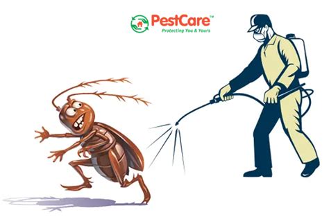 Schedule General Pest Control Services In Ahmedabad Today