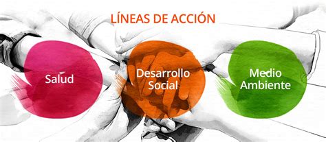 Lineas De Acción Fundación Bepensa Fundación Bepensa