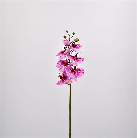 Fiore Artificiale Orchidea Phalaenopsis Rosa Per Composizioni Di Fiori