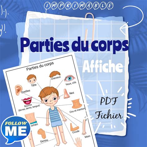 Affiche Des Parties Du Corps Pour Tout Petits Art Mural Imprimable