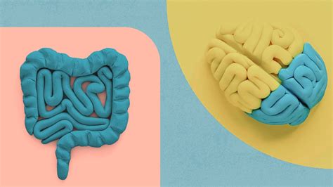 How To Improve The Gut Brain Connection How It Works