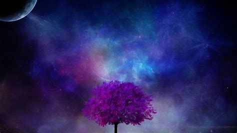 Purple Tree Wallpaper 51 Images