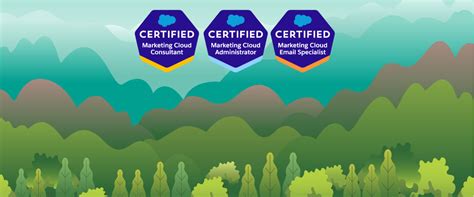 Tips For Salesforce Marketing Cloud Certifications Cuc Stl