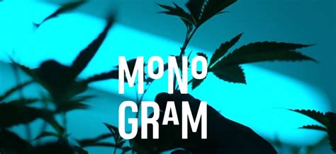 Jay-Z Launches Cannabis Brand Called MONOGRAM | REALMAJOR