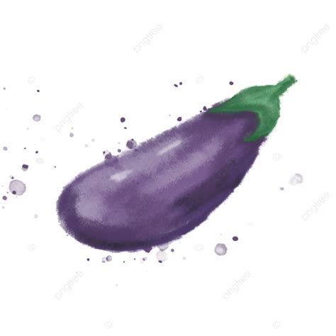 Hand Drawn Vegetable Eggplant Watercolor Vignette Small Illustration