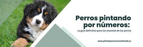 Pintar Perros Por N Meros Crea Tu Propio Arte Canino