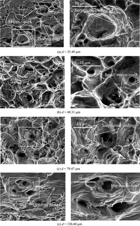 The Fracture Morphologies Of Some Of The Deformed Specimens With