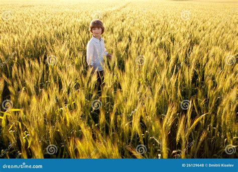 Boy In The Middle Of Wheat Fields Stock Photo Image Of Field