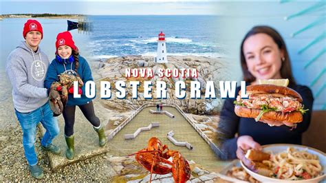 Lobster Crawl Along The South Shore Of Nova Scotia Youtube