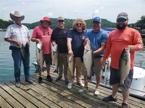 Beaver Lake Striped Bass Fishing Report Guided Striper